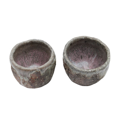 Tea Cup_609