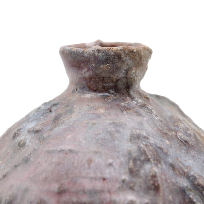Sake Bottle / Vase D_609