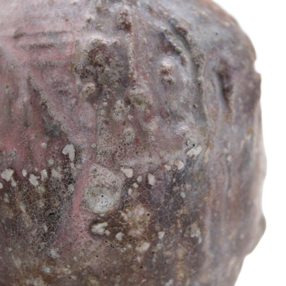 Sake Bottle / Vase D_609