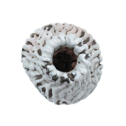 Pattern-Vase B_609