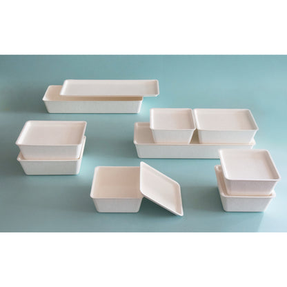 casanet Large Size Containers with Lids, Set of 4 (4 Lids and Main Units)