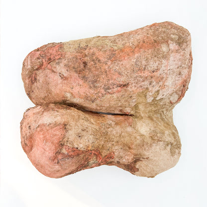 Art object Inside Shape3_TAMAKOYAMADA