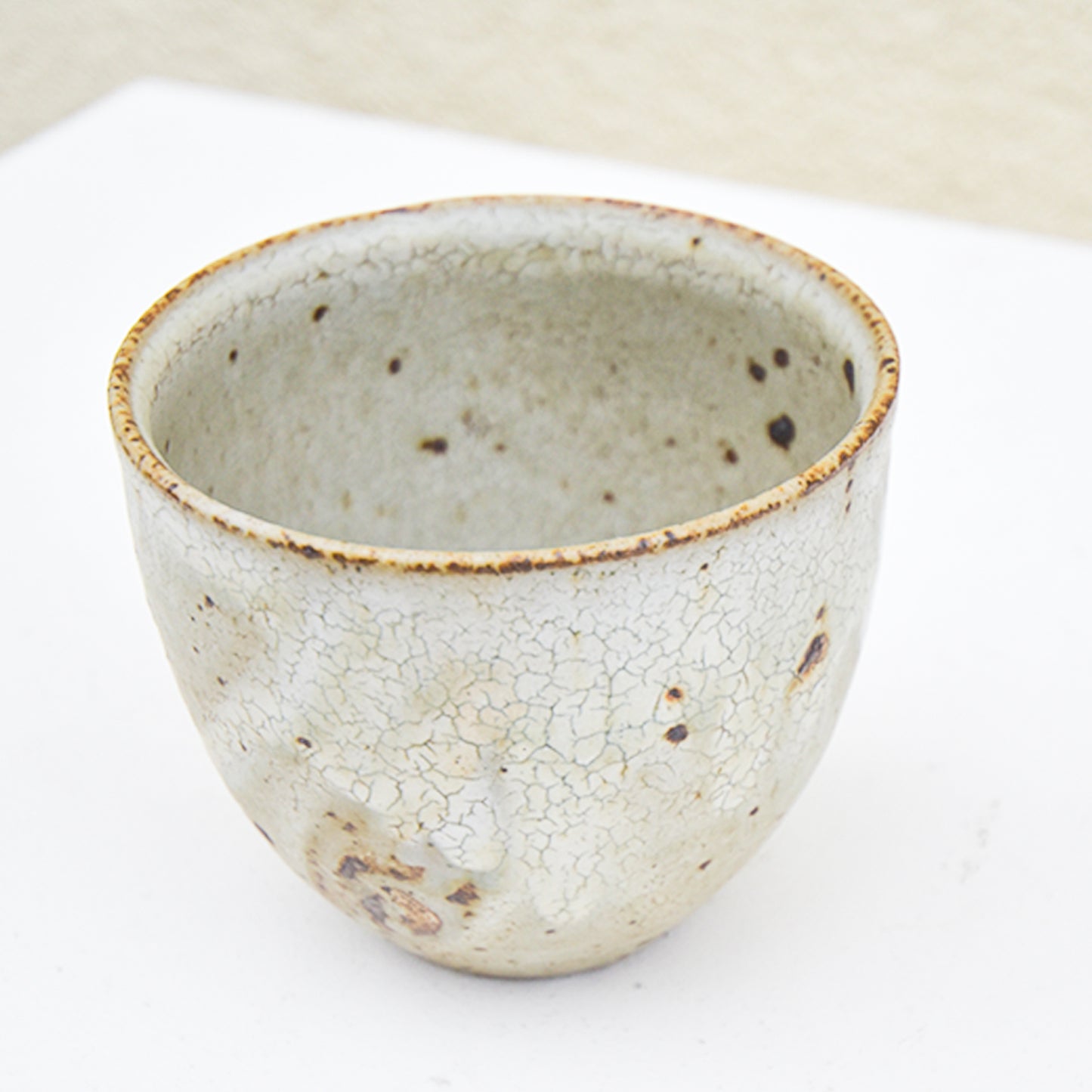 CUP Atsushi Shimomura 2