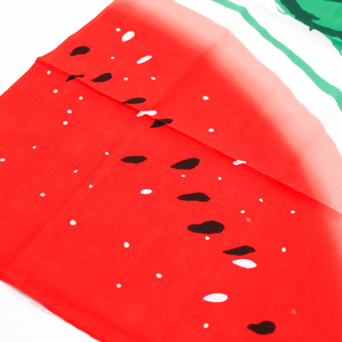 hand wiping (a towel)　Watermelon – Hosokawa Dyeing Style