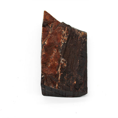 Single-Stem Vase C_Yuriko Nishiishigaki