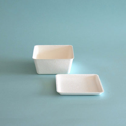 casanet Small Size Containers with Lids, Set of 5 (5 Lids and Main Units)