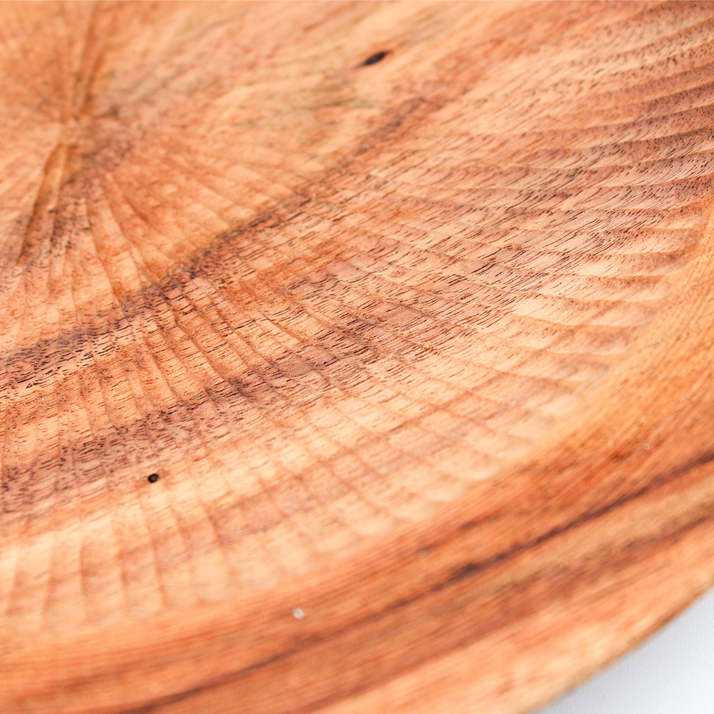 Line Rim B_Yuriko Nishiishigaki