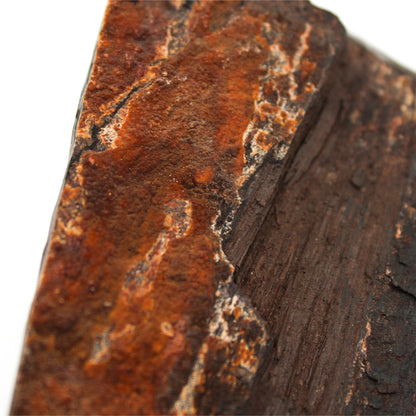 Single-Stem Vase C_Yuriko Nishiishigaki