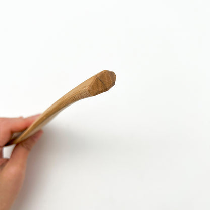 Rice Scoop Okubo House