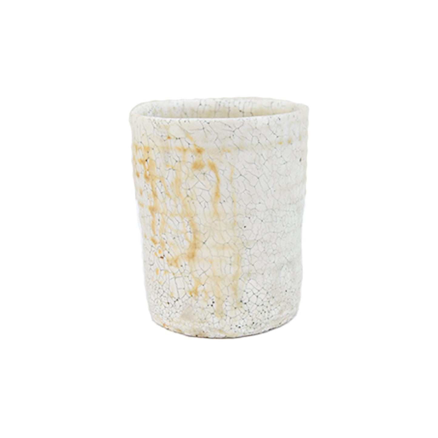 Mug Atsushi Ogata 55