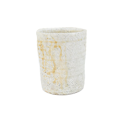 Mug Atsushi Ogata 55