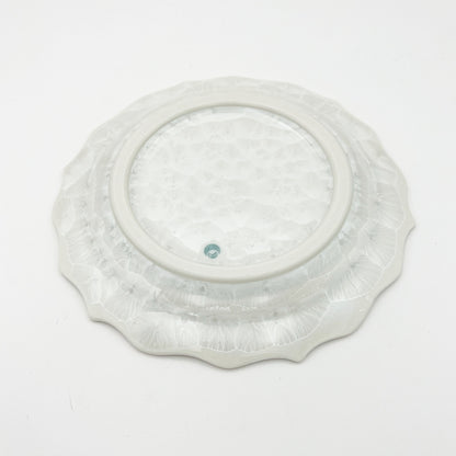 Plate φ19cm Toru Itabashi 12