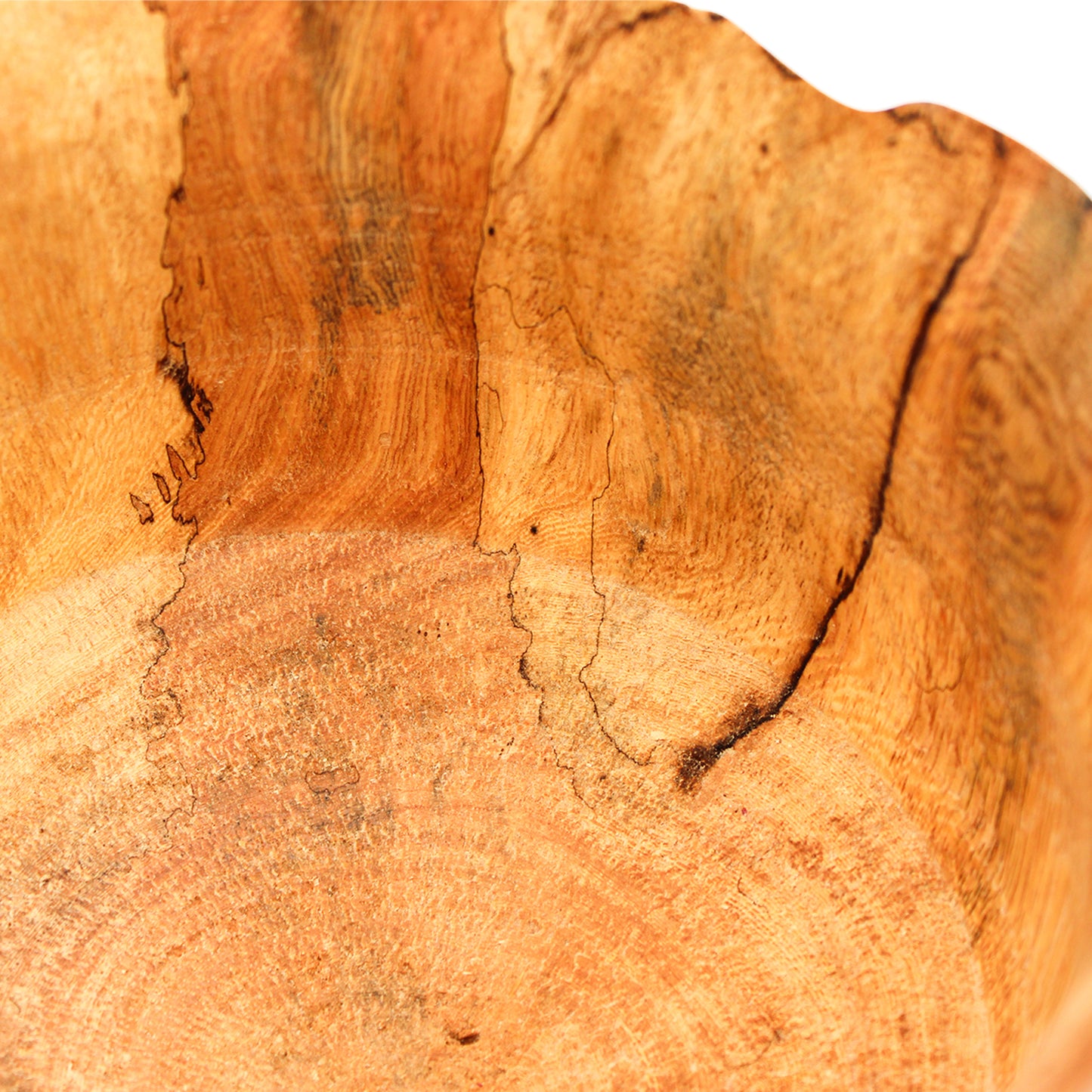 Flower Vase F_Yuriko Nishiishigaki