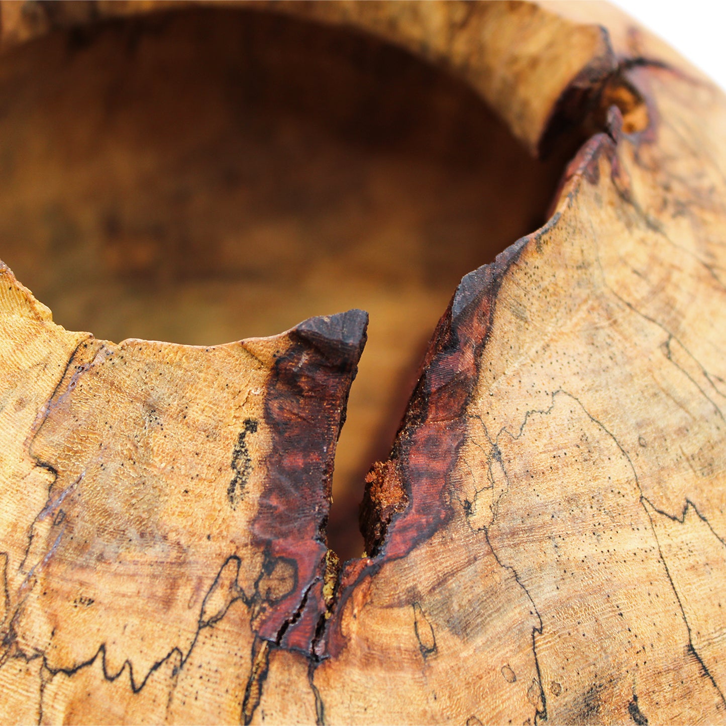 Flower Vase A_Yuriko Nishiishigaki