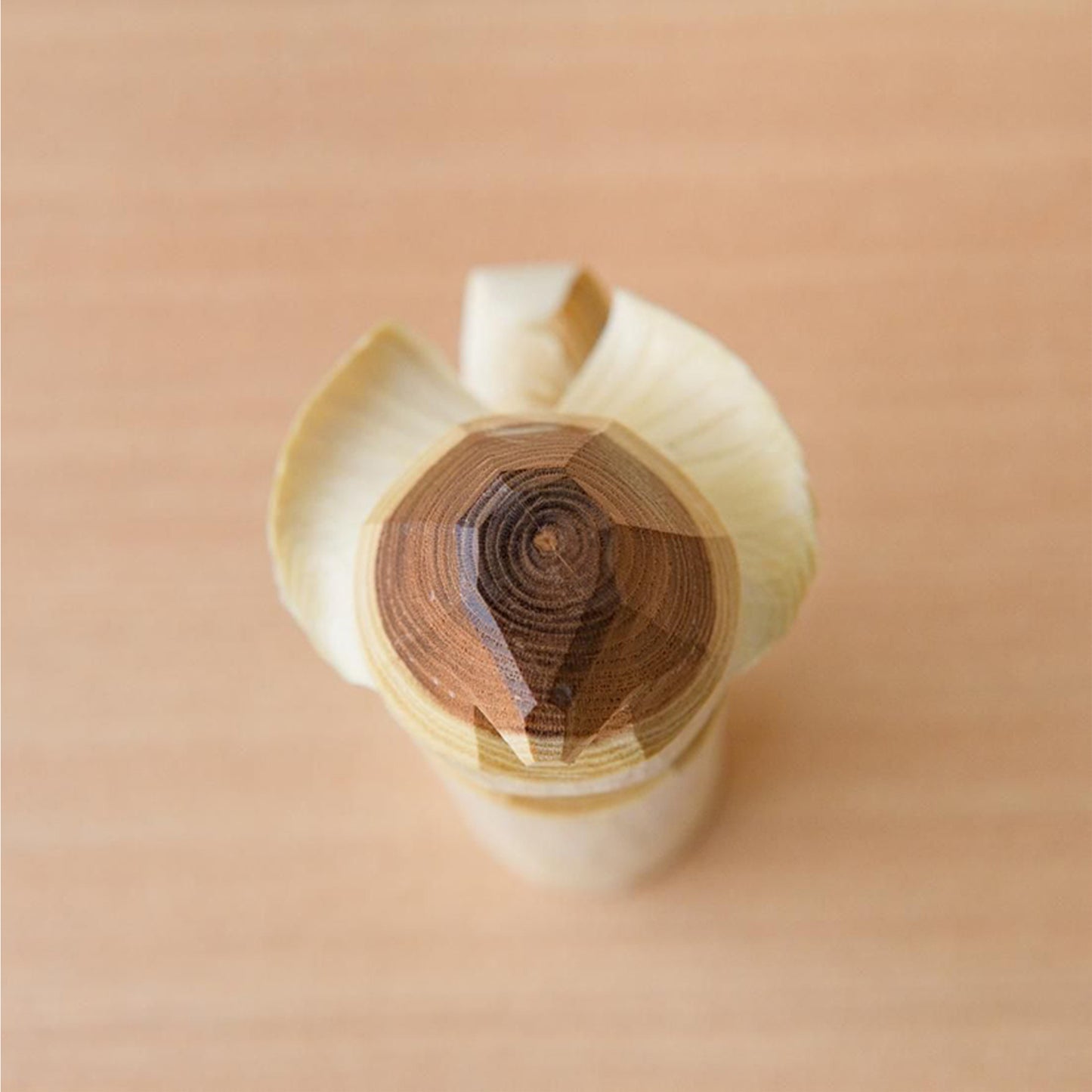 Single-cut wood carving hawk