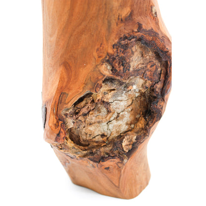 Flower Vase P_Yuriko Nishiishigaki