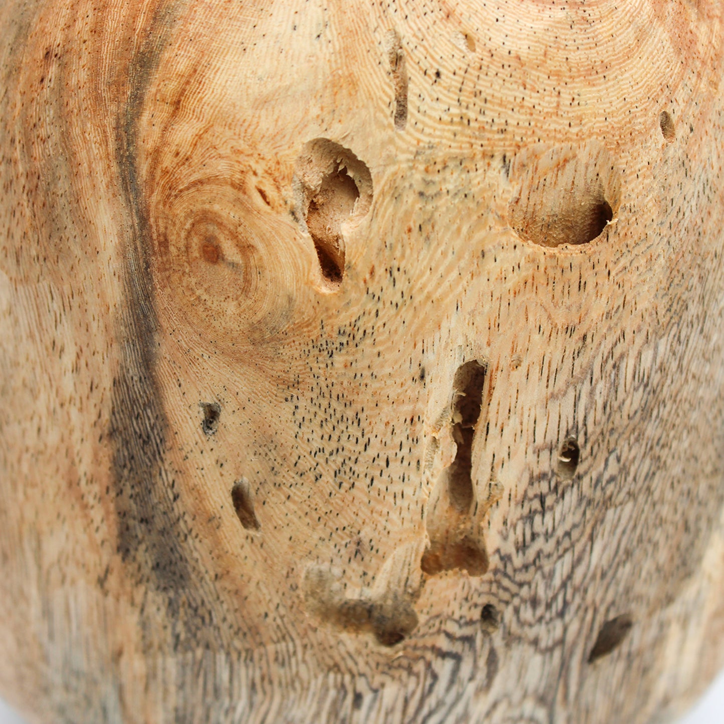 Flower Vase L_Yuriko Nishiishigaki