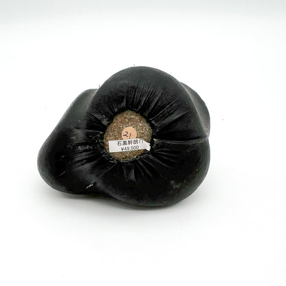 Object Stone_21 Mikio Ishiguro
