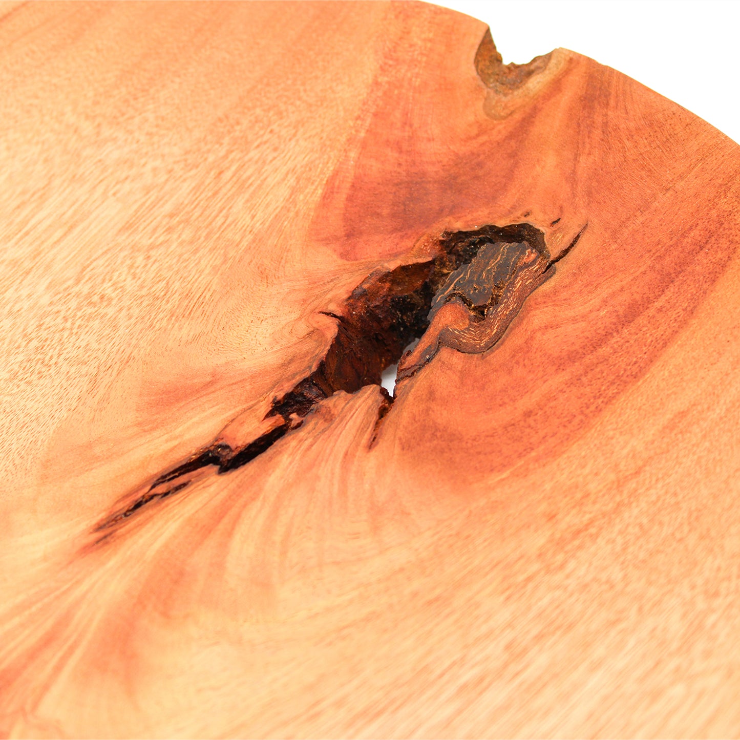 Node Textured Plate_Yuriko Nishiishigaki