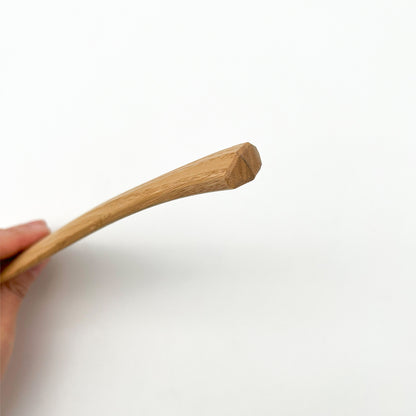 Rice Scoop Okubo House