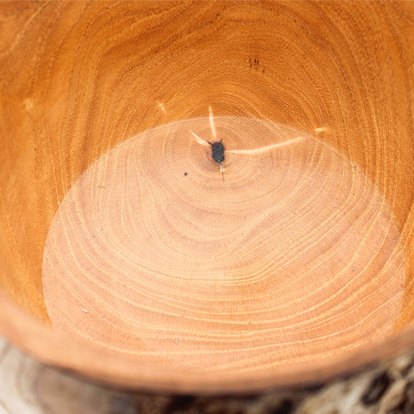 Flower Vase I_Yuriko Nishiishigaki