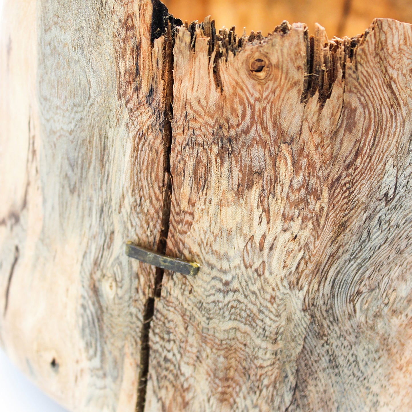 Flower Vase F_Yuriko Nishiishigaki