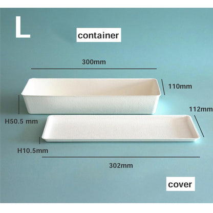 casanet Large Size Containers with Lids, Set of 4 (4 Lids and Main Units)
