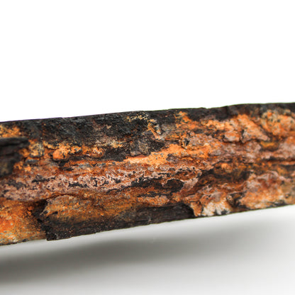 Single-Stem Vase E_Yuriko Nishiishigaki