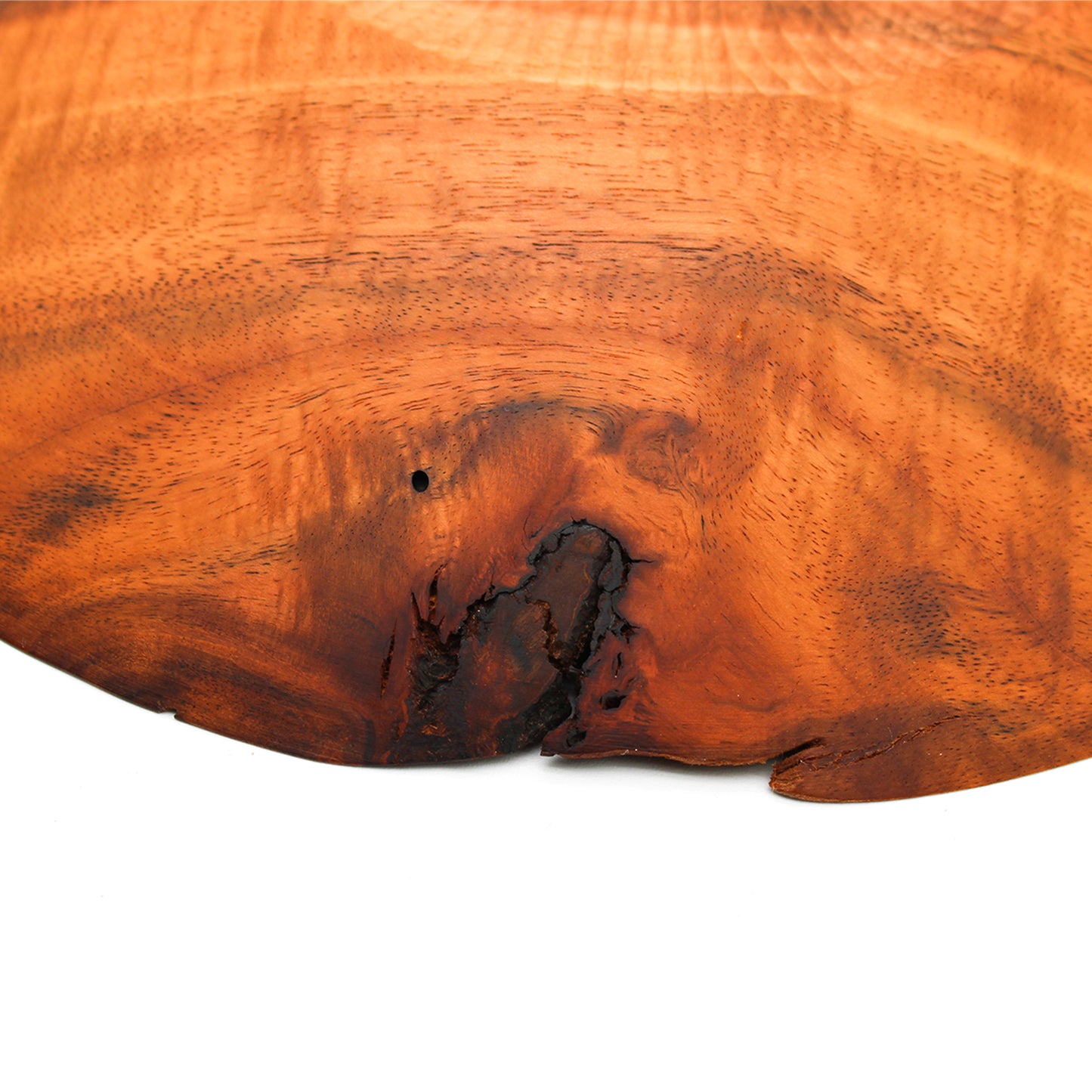 Plain Plate A_Yuriko Nishiishigaki