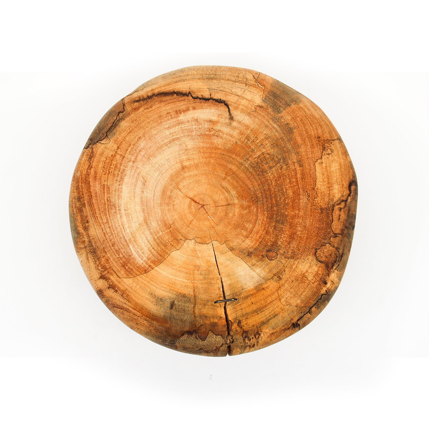 Flower Vase F_Yuriko Nishiishigaki