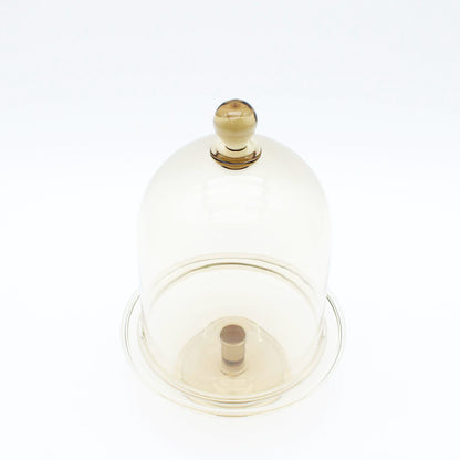 Dome & CompoteS Amber