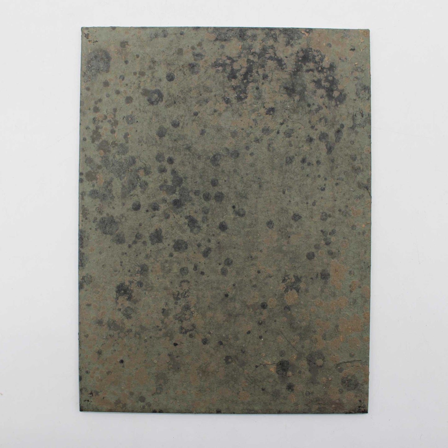 Tray 135x180 Wataru Hatano