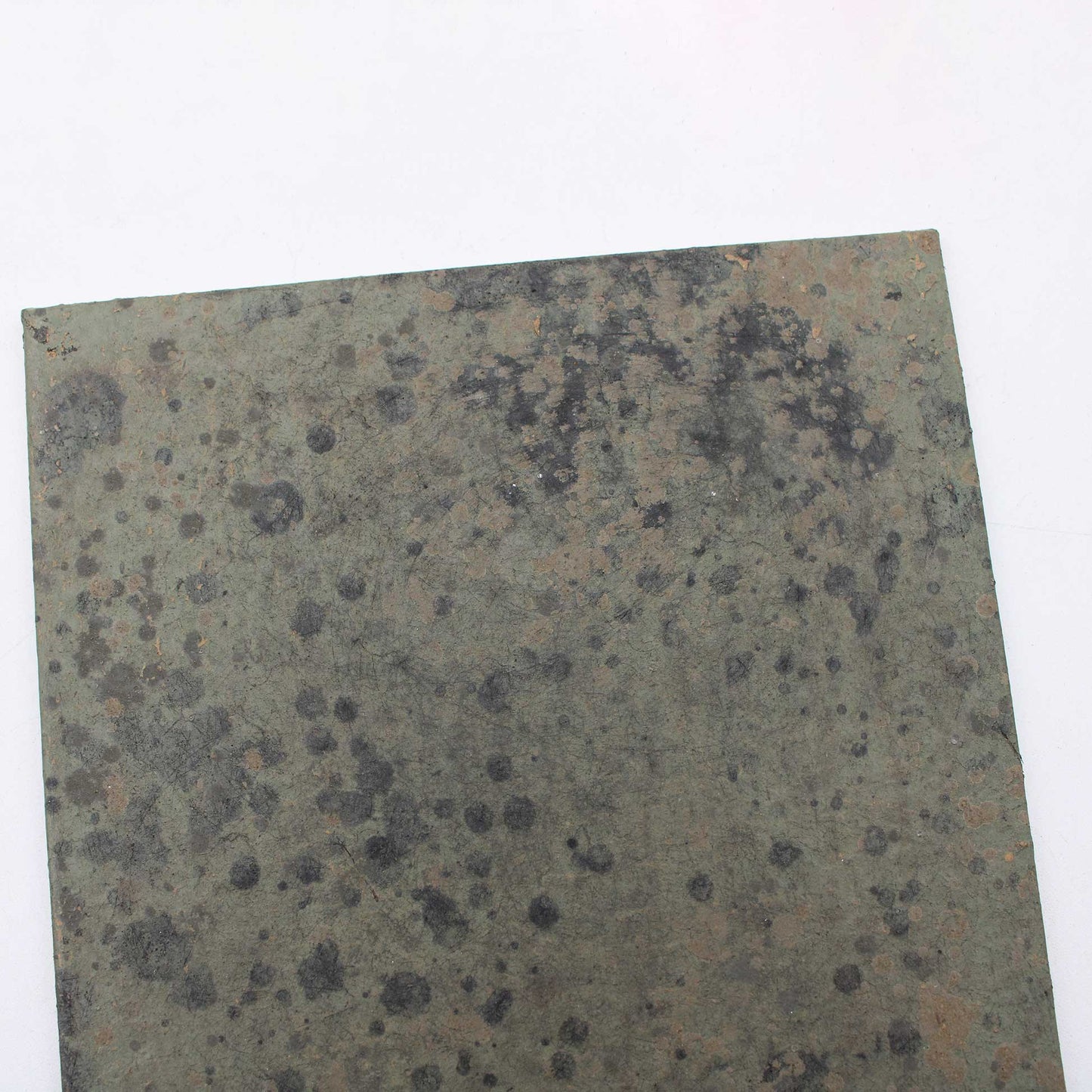 Tray 135x180 Wataru Hatano