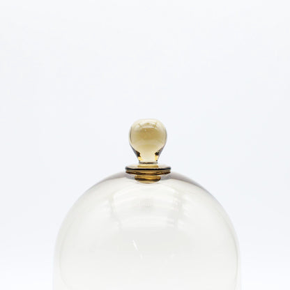 Dome & CompoteS Amber