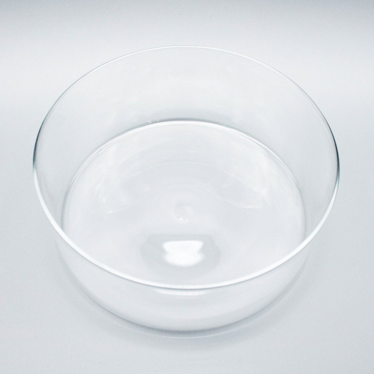 Wide Shallow Bowl L Clear_Taku Eiki