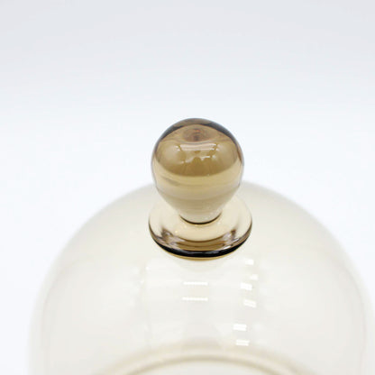 Dome & CompoteS Amber