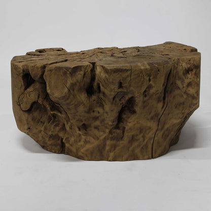 Wood Root Stand_58A