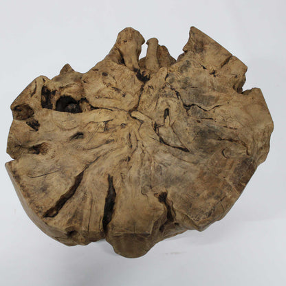 Wood Root Stand_58A