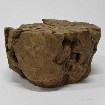 Wood Root Stand_58A