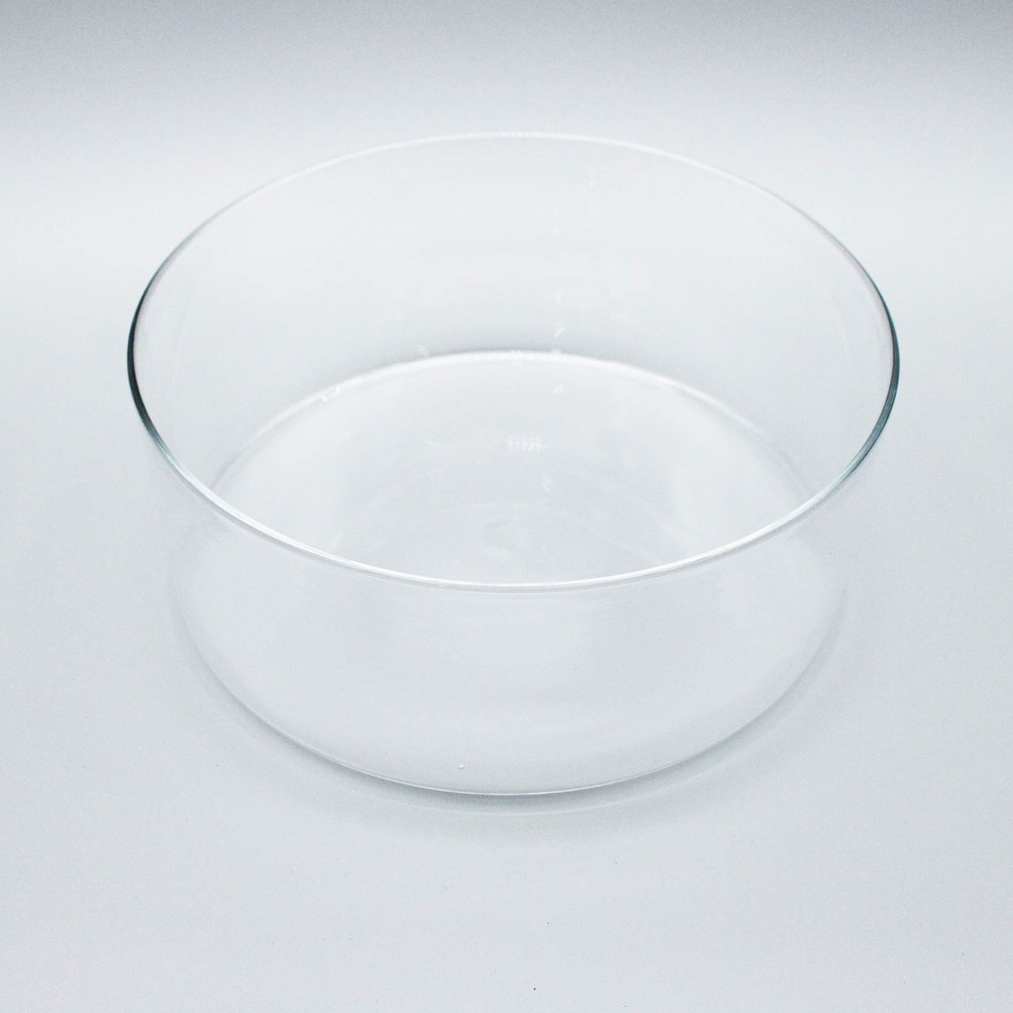Wide Shallow Bowl L Clear_Taku Eiki