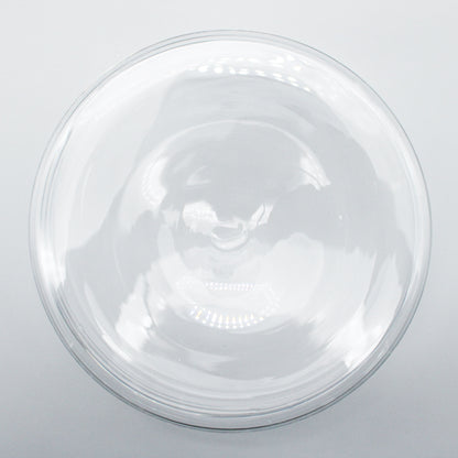Wide Shallow Bowl L Clear_Taku Eiki
