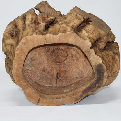 Wood Root Stand_58A