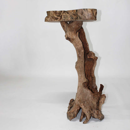 Zelkova Display Stand_58A