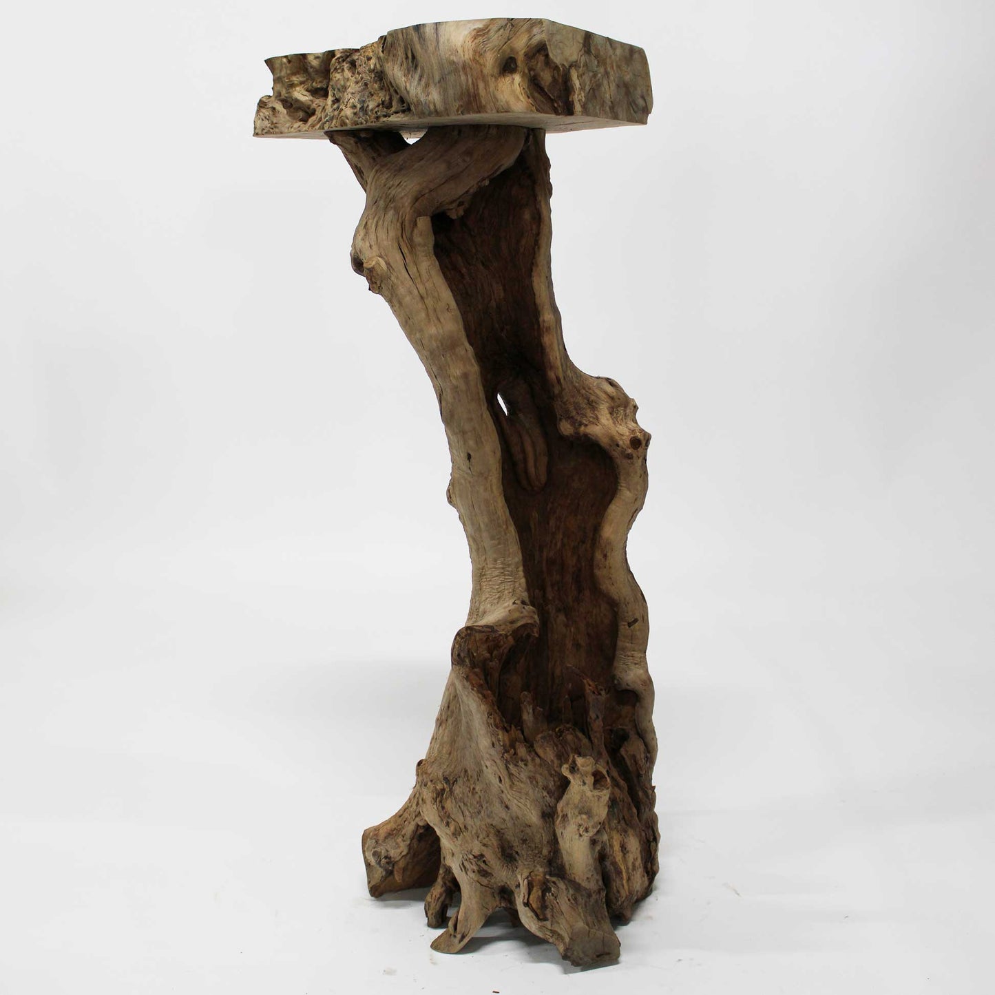 Zelkova Display Stand_58A