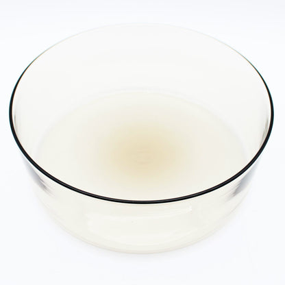 Wide Shallow Bowl L Amber_Taku Eiki