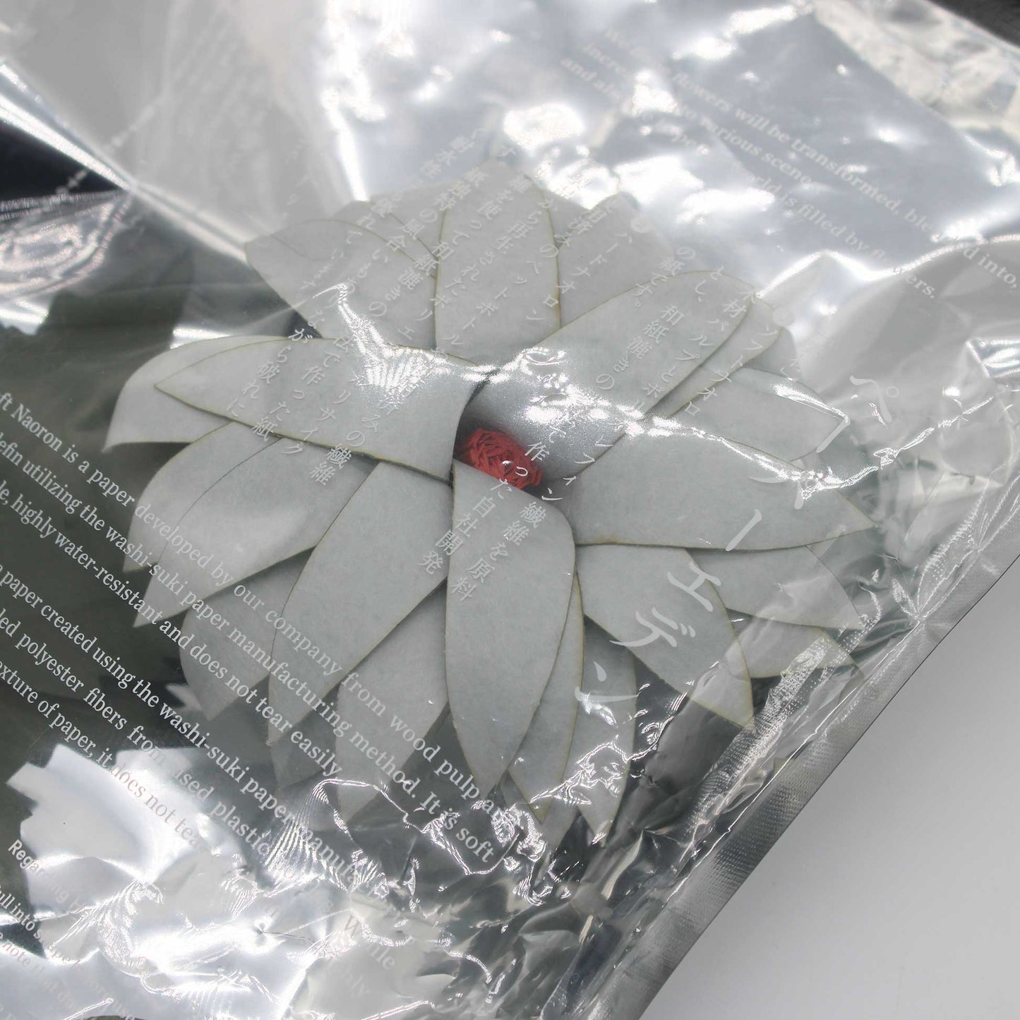 PAPER EDEN Dahlia