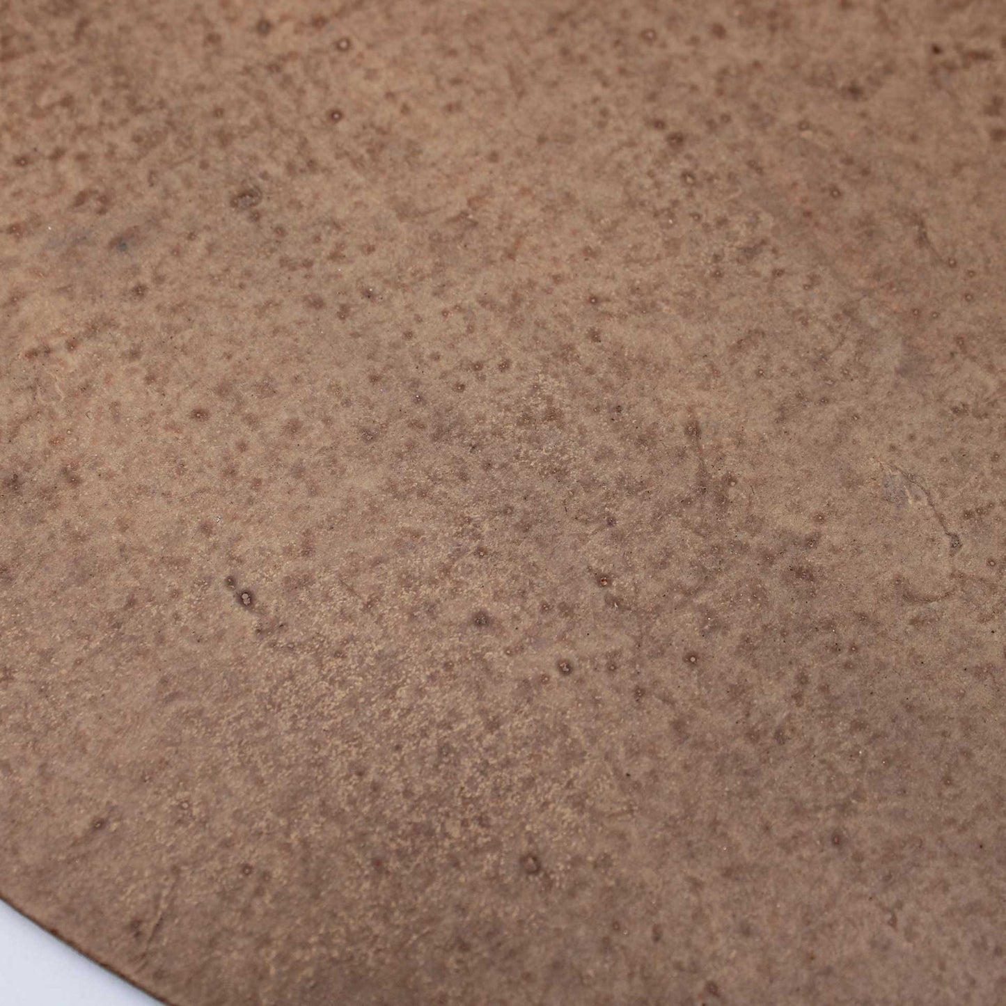 Tray Oval L 180x270 Wataru Hatano