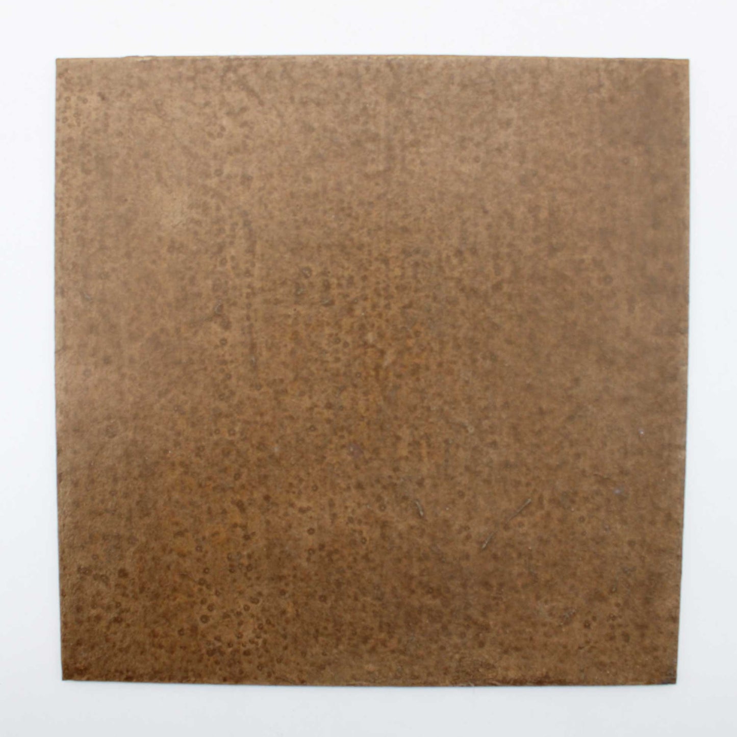 Tray 180x180 Wataru Hatano