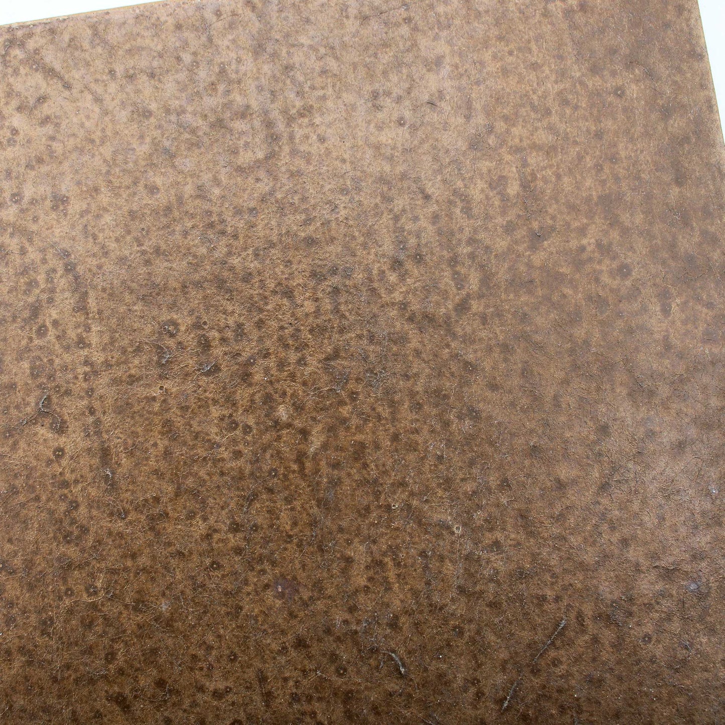 Tray 180x180 Wataru Hatano