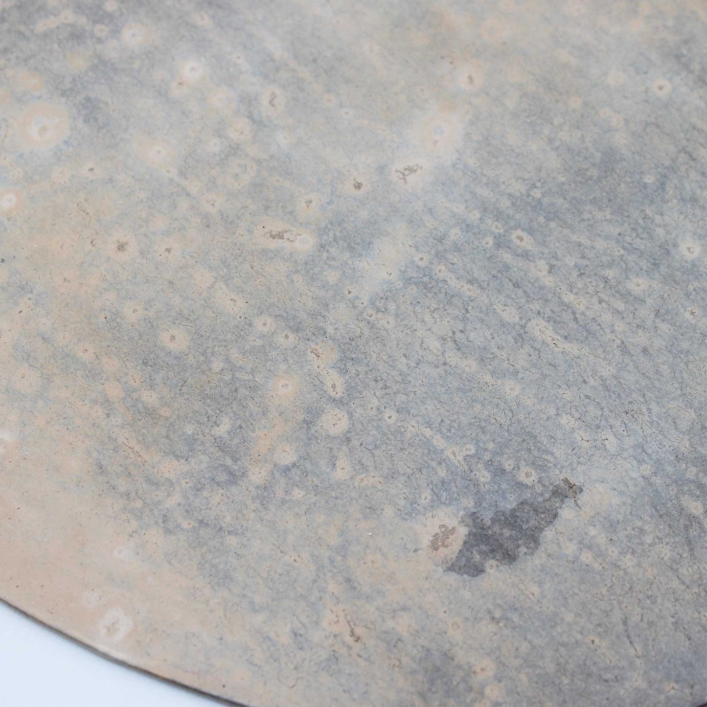 Tray Oval L 180x270 Wataru Hatano